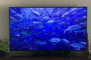 Reparacion de TV en Alamo, Estado de Texas: Servicio Rápido y Económico para Tu Hogar